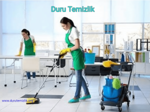 Diyarbakir-ofis-temizliği
